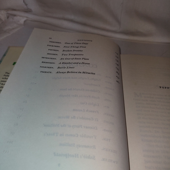 Pepper Pot by BARBARA CLAYTON - 1965 HCDJ First Edition Vintage Used - Picture 9 of 9